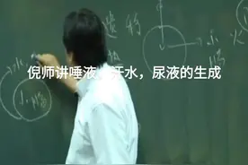 倪师讲身体水分如何排解#倪海厦老师讲中医 #中医养生