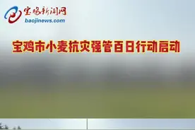 宝鸡市小麦抗灾强管百日行动启动#宝鸡 #小麦 #丰产丰收 视频封面