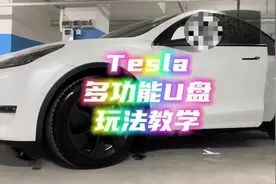 #特斯拉 #modely #model3 一个小小的U盘能实现多少种玩法？音乐视频封面