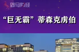 世界钢铁大王的前身是前#德国最大财团和最强军工企业#涨知识视频封面