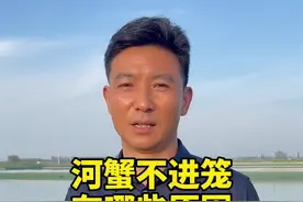 河蟹不进地笼，有哪些原因#大闸蟹养殖 #陈春永虾蟹养殖视频封面