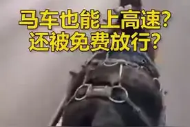 男子驾马车上高速旅游，收费站工作人员懵了，最后竟然免费放行？视频封面