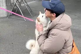 瑞士这个“对狗狗最友好的国家”果然名不虚传，这次真的让我大开眼界了#宠物友好 #瑞士视频封面