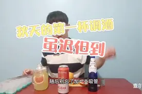 用啤酒调酒竟然这么清新好喝 #多伦多生活 #vlog #多伦多生活