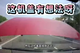 前机盖：这么热的天，我给你降降温#交通安全 #危险瞬间视频封面