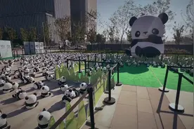 郑州！我们来啦#1864大熊猫巡展 9月8日-9月14日视频封面