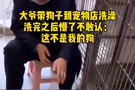 大爷带狗子到宠物店洗澡，洗完之后懵了不敢认：这不是我的狗 #狗子  #洗澡  #大爷视频封面