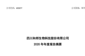 和邦生物2020财报风险评估