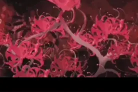 一首很特别的歌送给你们，我们永远不知道明天和意外哪个先来临，所以记得好好感受你的每一次心跳。#音乐