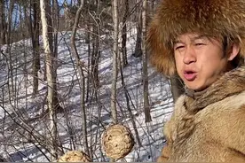 马蜂在筑巢的时候，它会肯各种各样的木头和树皮，然后与自己的唾液混合，才会建造出颜色不一的蜂巢#马蜂窝是怎么形成的#涨知识