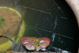 水缸里有了蚊虫，怎么办？#养花 #养花小知识 