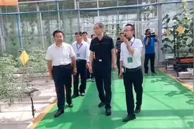 武山县委书记索鸿宾参观蔬菜科技园视频封面