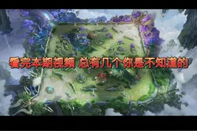 王者最全视野机制，快艾特你的朋友来学#游戏日常 #电竞视频封面