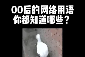 所以谁知道lllb是什么意思？视频封面