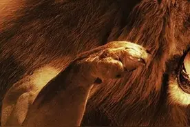 赫拉克勒斯最终完成了这12项任务 途中还解救了被束缚的普罗米修斯 #希腊神话 #神话 #雅典娜