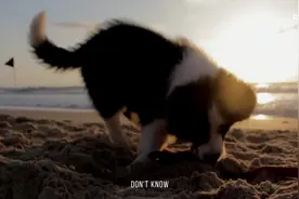 Let‘s go！治愈童音，这嗓音顶顶的。#英文歌 #童音视频封面