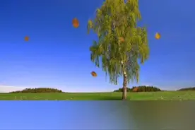 独来独往的女人特别厉害，这种女人呢一般都有以下三个特点，#情感 #女人 #智慧女人 