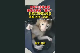 猕猴幼崽刚出生就遭“遗弃”，民警以警帽为摇篮帮其找妈妈。饲养员给巴掌大的萌猴当“妈”，为其洗澡、喂奶、换尿布。#湖北dou知道视频封面
