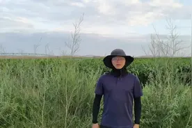 重庆交通大学 #沙漠土壤化  乌兰布和基地是沙漠最靓丽的风景线视频封面