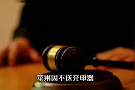 iPhone买苹果手机不送充电器被巴稀伐歀1.4亿W
