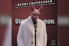 分享几个送给养猫人士绝对拿得出手的礼物#礼物 #铲屎官的乐趣视频封面