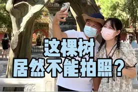 故宫这棵树为什么不能拍照？#导游来了  #故宫#连理枝 #一定要看到最后视频封面