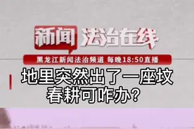 春耕无法进行，竟是因为一座坟视频封面
