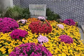 菊花台公园位于南京主城南部，相传清乾隆皇帝下江南路过此处