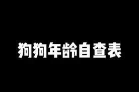 狗狗年龄对照表，快看看你们家的小狗多大了，没想到小美眉已经40岁了。#比熊 #金毛 #泰迪 