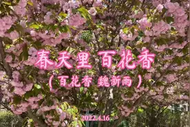 春天里 百花香 #春暖花开 #草青柳绿视频封面