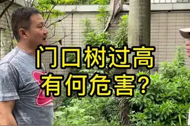 门口树过高有何危害？#装修避坑 #装修 #知识分享 #施工现场 #别墅装修 #自建房 #别墅 #抖音小助手