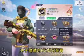 如何查看好友隐藏的KD和个人战绩#和平精英