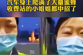 汽车身上爬满了大量蜜蜂，连收费站的小姐姐都被咬成了熊猫眼！视频封面