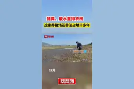 猪粪、废水直排农田 ，这家养猪场还非法占地十多年#福建dou知道 #环保视频封面