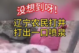 井水遍地横流 乡长调来挖掘机引渠#辽宁农民打井打出一口喷泉 #辽宁