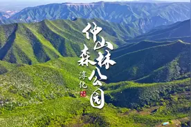「追光寻影•淳化仲山森林公园」3.仲山生态森林公园，为淳化