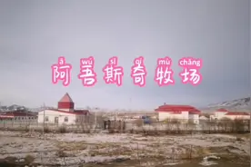 第七师137团阿吾斯奇牧场