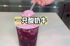 一只酸奶牛新品大测评！看完后，种草了吗？#一只酸奶牛