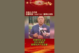 【聚焦两会】全国人大代表佳都科技（600728）董事长刘伟最新建议来了～#两会 #佳都集团 #全国两会视频封面