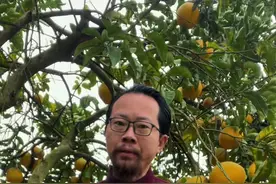 蓝光项目迎来转机@抖音短视频 #房啊房#买房攻略#买房知识视频封面