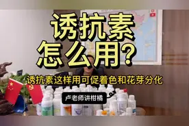 诱抗素，柑橘怎么用？记得点赞收藏。#抖音助农#卢老师讲柑橘视频封面