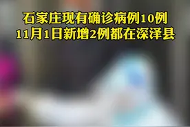 11月1日，在河北省石家庄市召开第4场疫情防控新闻发布会上，副市长张峰珍介绍了今日（11月1日）新增的2例确诊病例情况。视频封面