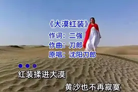 刀郎继西海情歌之后又一神曲#大漠红装 #百听不厌 #经典老歌