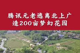 他赚够钱后辞职，到安徽盘下200亩地，种花种菜、给孩子造游乐场！#生活 #花园视频封面