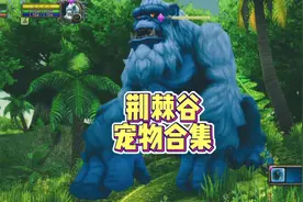 魔兽世界正式服：荆棘谷猎人宠物合集 -