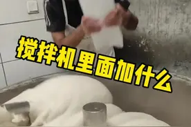很多网友好奇，在搅拌面团的过程中，往里面敲入的白色晶体是什么 #面团 #面包制作 #小作坊视频封面