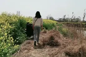 你们的桃木簪子都弱爆了，塘主要为我种满塘桃花@孟塘主 @抖音短视频 视频封面