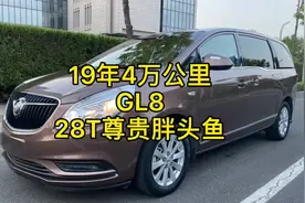 又到一台#别克GL8 2019年#28T尊贵版 #胖头鱼 精品车况