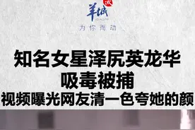 日本女星 #泽尻英龙华 吸毒被抓，曾演《 #人间失格》视频封面