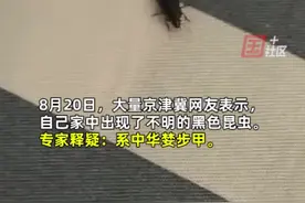 8月20日，有大量京津冀地区的网友表示，在家中发现了不明的黑色昆虫。专家：是中华婪步甲，对人体无害无需担心。